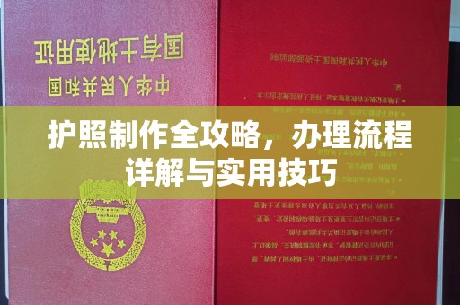 保税港区护照制作全攻略，办理流程详解与实用技巧